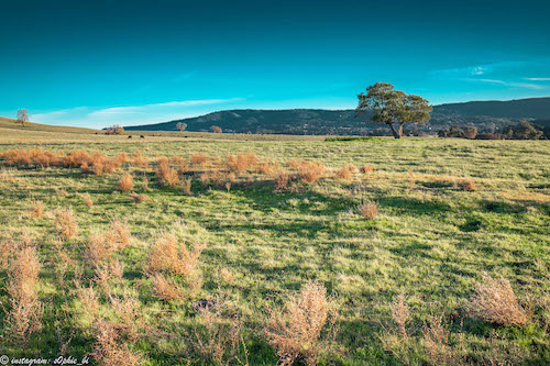 Stanford dish trail, CA