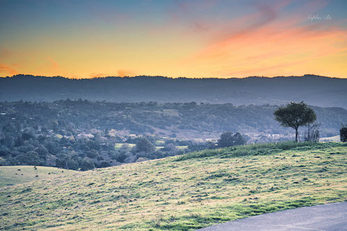 Stanford dish trail, CA