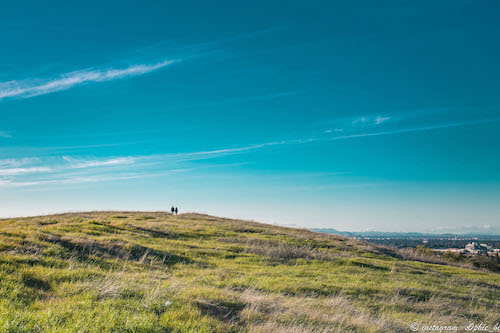 Stanford dish trail, CA