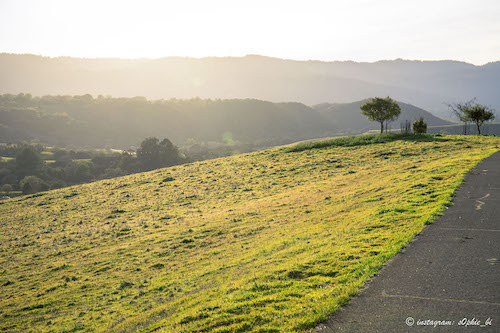 Stanford dish trail, CA