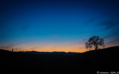 Stanford dish trail, CA