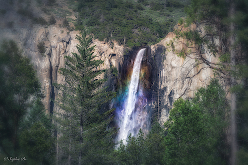 Yosemite, CA