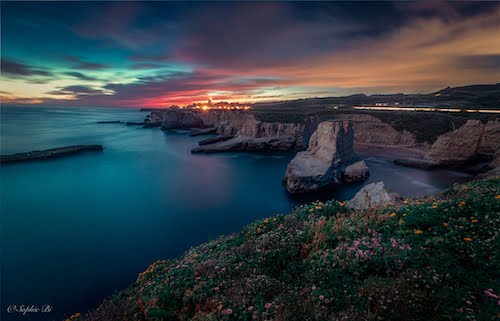 Shark fin cove, CA, US