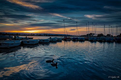 Shoreline park, CA, US